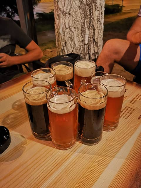 Wizard Health Company Trip